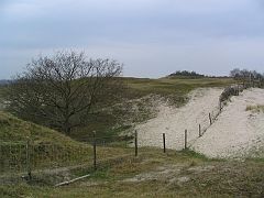 IMG_1057  Zeeland duinen